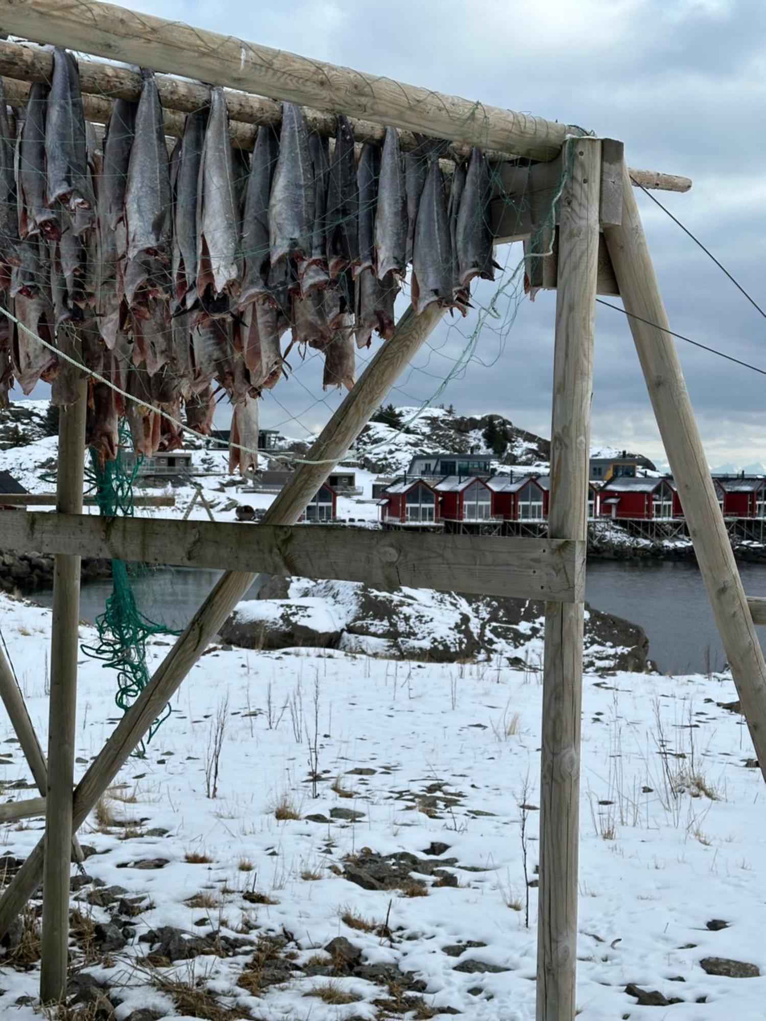Superior Cabin Ballstad Lofoten ภายนอก รูปภาพ