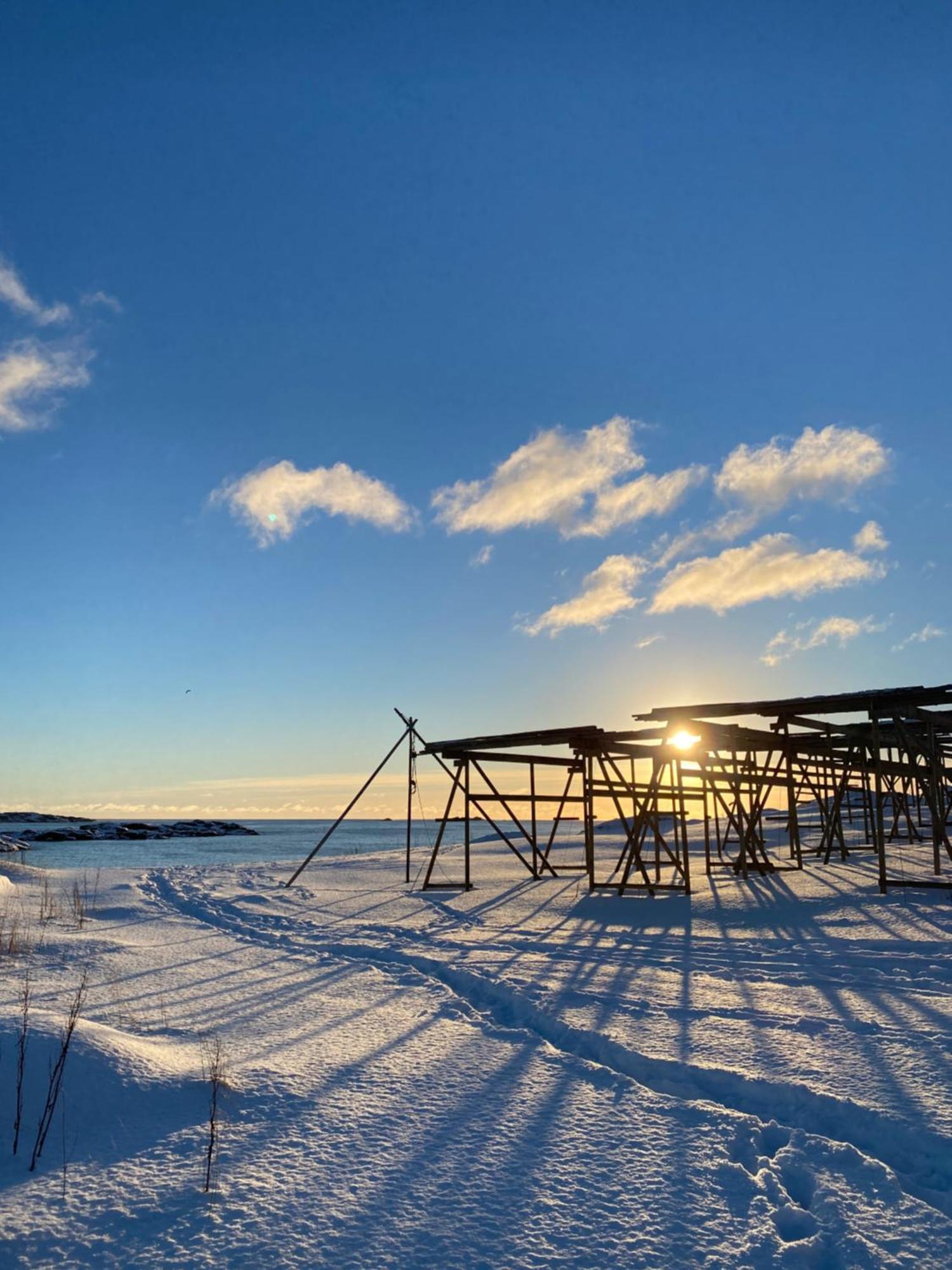 Superior Cabin Ballstad Lofoten ภายนอก รูปภาพ